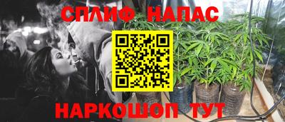 ГАЛЛЮЦИНОГЕННЫЕ ГРИБЫ Кандалакша